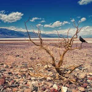 death-valley